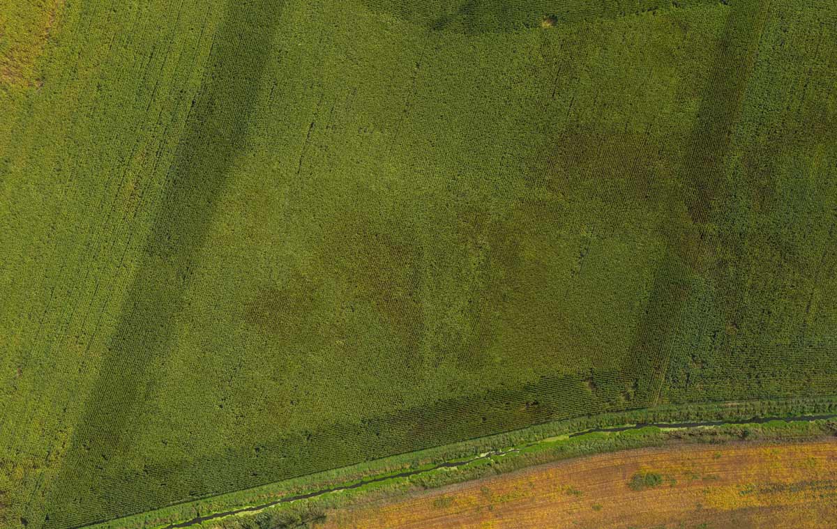 Orthophoto – Luftbildkarte eines Feldes